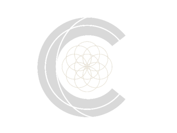 ChiroyHub logo